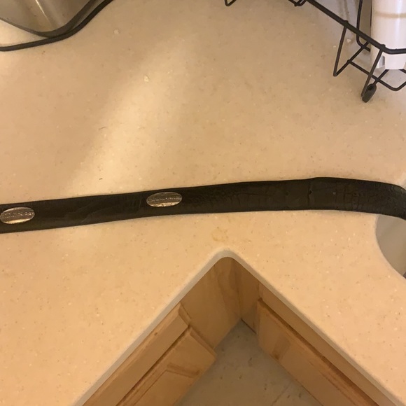 Belt - Picture 4 of 4